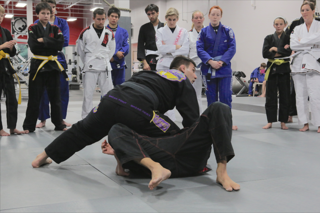 Ground Control Brazilian Jiu-Jitsu Fundamentals