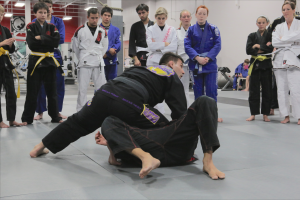 Ground Control Brazilian Jiu-Jitsu Fundamentals