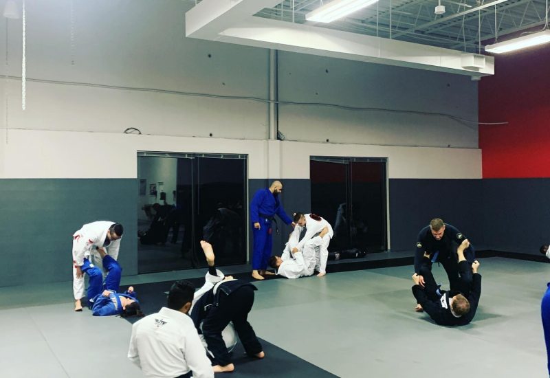 bjj 3